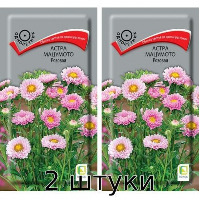 Астра Мацумото розовая 0,1гр. Семена Поиск - 2шт