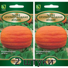 Семена тыквы Атлант крупноплодная, 5сем. (Поиск) - 2шт