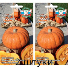Тыква Русская каша 1гр. Семена СеДек - 2шт