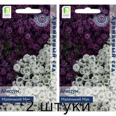 Алиссум Маленький Мук 0,3гр. Семена Поиск - 2шт