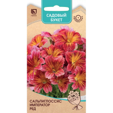 Сальпиглоссис Император Ред 7 семян Поиск