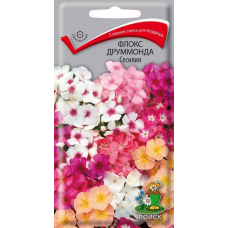 Флокс Друммонда Сесилия (смесь окрасок) 0,3гр. Семена Поиск
