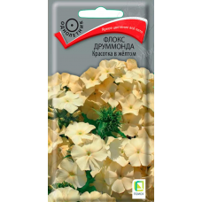 Семена Флокс Друммонда Красотка в желтом 0,1гр. Поиск