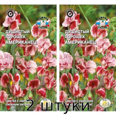 Душистый горошек Американец 0,5гр. Семена СеДек - 2шт