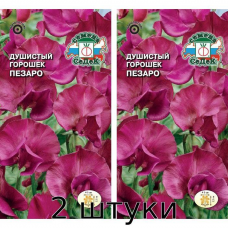 Душистый горошек Пезаро 1гр. Семена СеДек - 2шт