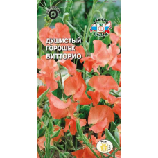 Душистый Горошек Витторио (Semperflorens) 1гр. Семена СеДек