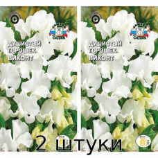 Душистый горошек Виконт 1гр. Семена СеДек - 2шт