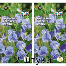 Душистый горошек Капри, 1гр. Семена СеДек - 2шт