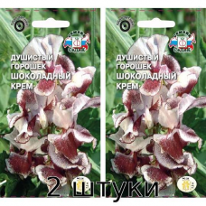 Душистый горошек Шоколадный крем 0,5гр. Семена СеДек - 2шт