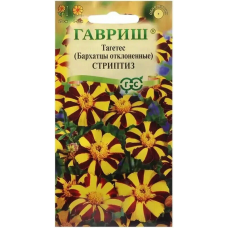 Бархатцы отклоненные Стриптиз (Тагетес) 0,3гр. Семена Гавриш