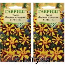 Бархатцы отклоненные Стриптиз (Тагетес) 0,3гр. Семена Гавриш - 2шт