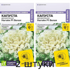 Капуста декоративная Нагойя F1 Белая / Семена Алтая / 10 семян - 2шт