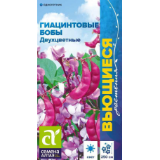 Гиацинтовые бобы Двухцветные (Долихос) / Семена Алтая / 1 гр