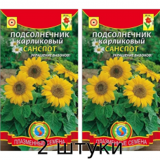 Подсолнечник карликовый Санспот (Sunspot) 0,5 гр Плазменные семена - 2шт